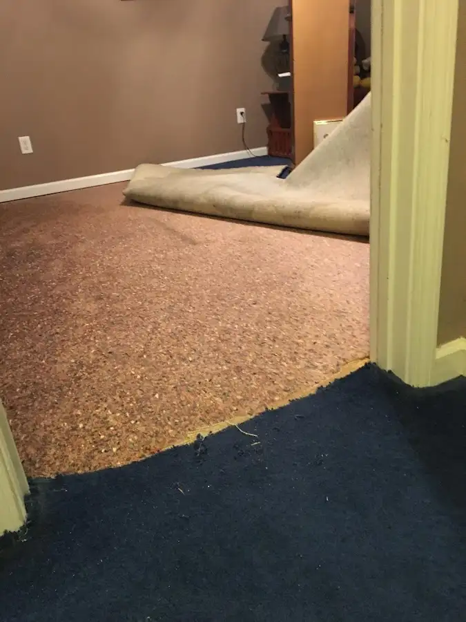 Carpet pad removal revealing water damage during Water Mitigation Services in Brentwood